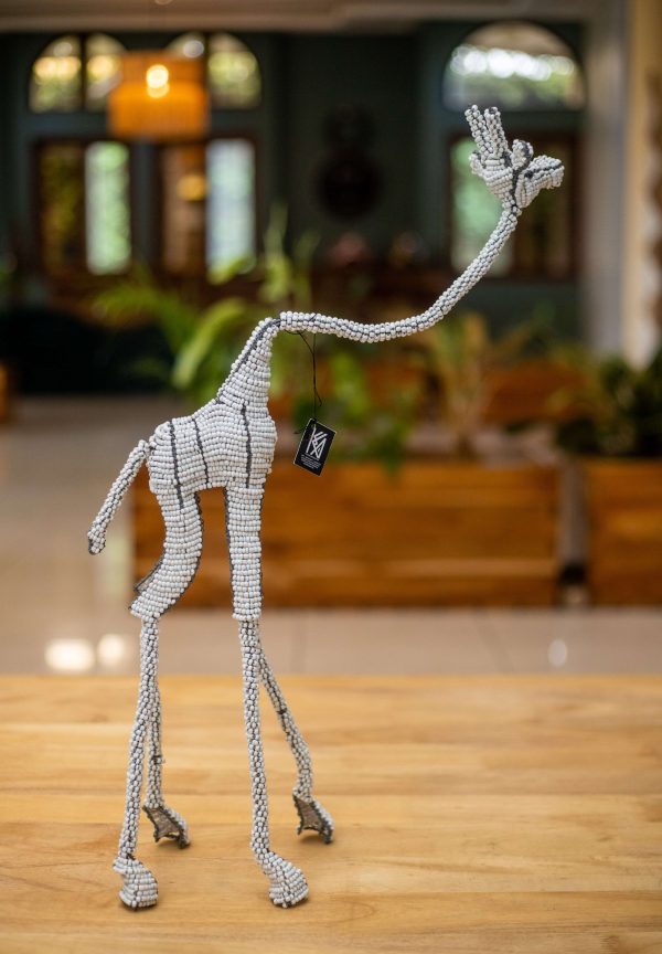 Girafe perlée d’Afrique du Sud