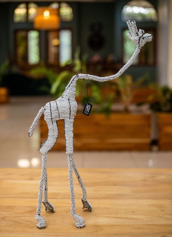 Girafe perlée d’Afrique du Sud